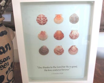 Beach Cottage Shell Art: Christian Home Decor, "Give Thanks" Verse