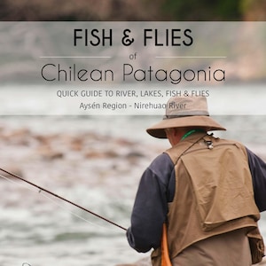 May include: A person fly fishing in a river, wearing a hat and vest. The image includes the text "FISH & FLIES of Chilean Patagonia" and "Fly Fishing Ecosystem Patagonia-Chile". A fishing net is visible.
