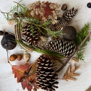 May include: A collection of natural elements, including pine cones, acorns, leaves, and sprigs of greenery, arranged on a white wooden surface. The composition features various textures and colors, creating a rustic and earthy aesthetic. The arrangement is ideal for fall-themed crafts.