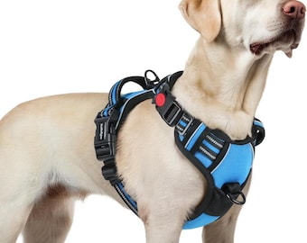 No-Pull Dog Harness for Medium Dogs: Sky Blue Padded Vest with Control Handle