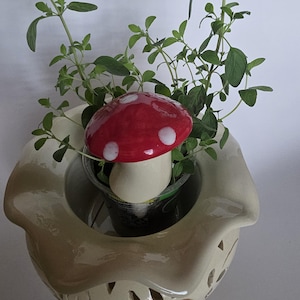 May include: A cream-coloured ceramic planter with a decorative design. It features a red mushroom with white spots and green foliage. The planter has cut-out patterns and a unique shape, ideal for indoor decor. The planter is suitable for herbs.