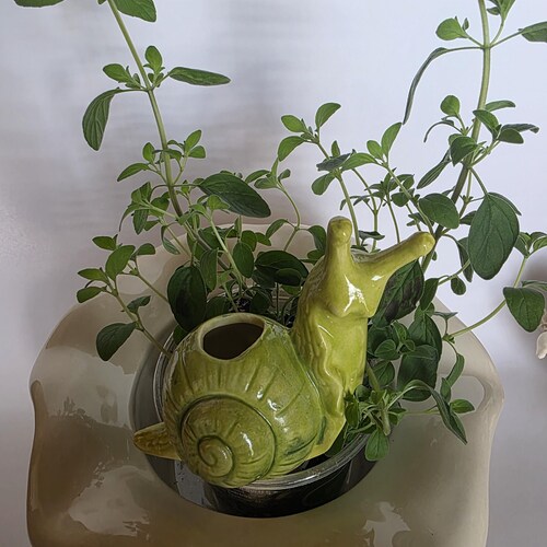 Handmade Ceramic Plant Waterer | Plant Tender | Self Watering Spikes |Snail,