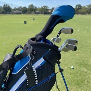 May include: A black and blue golf bag containing several golf clubs with metal heads and a blue headcover. A black golf club brush is attached to the side of the bag with a silver carabiner. The bag features white accents and zippers.