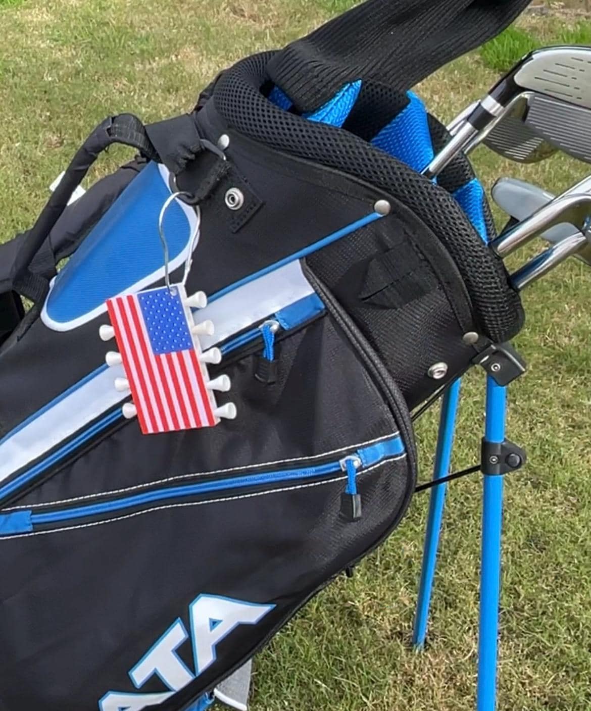 Golf Tee Caddy Holder