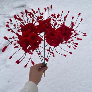 Può includere: Un bouquet di gigli ragno rosso vivo, su uno sfondo innevato. I fiori hanno un aspetto unico, simile a un ragno, con steli lunghi e sottili e grappoli di piccoli petali rossi. I gambi sono scuri, per un effetto sorprendente.
