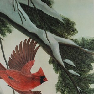 Vintage John Ruthven Signed and Numbered Framed Limited Edition Songbird Series Cardinal Richmondena Cardinalis image 5
