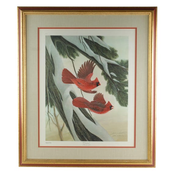 Vintage John Ruthven Signed and Numbered Framed Limited Edition Songbird Series Cardinal Richmondena Cardinalis