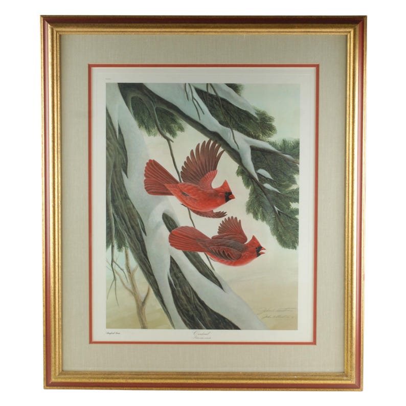Vintage John Ruthven Signed and Numbered Framed Limited Edition Songbird Series Cardinal Richmondena Cardinalis image 1