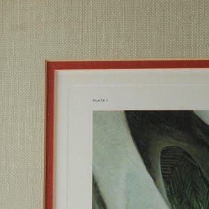 Vintage John Ruthven Signed and Numbered Framed Limited Edition Songbird Series Cardinal Richmondena Cardinalis image 7