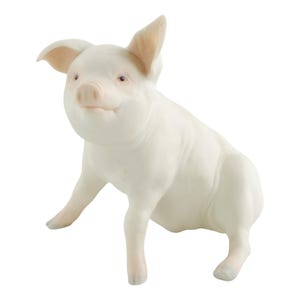 Year of the Pig 1983 - Etsy