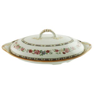 Antique Royal Paragon Manchu Polychrome Transferware Domed Covered Meat Platter 12.25" by 9.125" Fine Bone China Chinoiserie Tableware