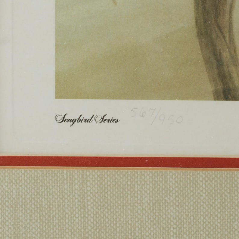 Vintage John Ruthven Signed and Numbered Framed Limited Edition Songbird Series Cardinal Richmondena Cardinalis image 8