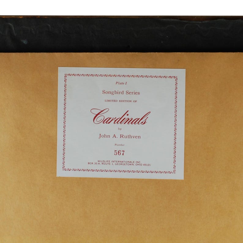 Vintage John Ruthven Signed and Numbered Framed Limited Edition Songbird Series Cardinal Richmondena Cardinalis image 12