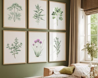 Può includere: Sei stampe botaniche incorniciate con illustrazioni ad acquerello di erbe e fiori. Le stampe presentano una varietà di piante verdi e viola su sfondo bianco. Le cornici sono di colore marrone chiaro e sono esposte su una parete verde.