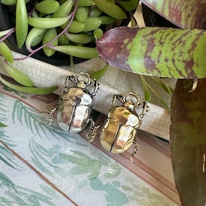 May include: Two beetle-shaped decorative objects, one silver and one gold, are displayed. The beetles have detailed legs and textured bodies. The background includes green plants and a watercolor-style patterned surface.