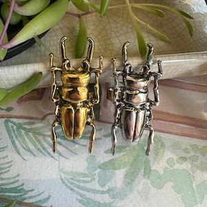 May include: Two beetle-shaped rings, one gold-toned and the other silver-toned, are displayed. The rings are detailed with legs, antennae, and a segmented body. The background includes green plants and a decorative tray.