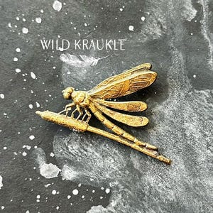May include: A detailed, golden dragonfly brooch resting on a branch. The insect's wings and body are intricately designed, with the text "WILD KRAUKLE" and a feather graphic in the background. The brooch is set against a dark, textured backdrop with white speckles.