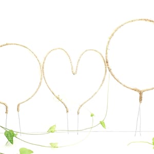 Op de afbeelding: Drie decoratieve plantenondersteuningen: twee cirkels en een hartvorm. De frames zijn omwikkeld met natuurlijk touw en gemonteerd op dunne metalen staken. Groene wijnstokken met hartvormige bladeren op de voorgrond.