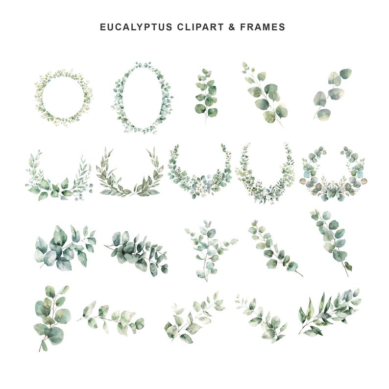 Watercolor Eucalyptus Clipart Bundle, Greenery Wreaths, Frames (PNG ...