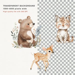 Op de afbeelding: Waterverfillustraties van een beer, een bobcat en een hert. De beer is bruin met een lichte buik, de bobcat is bruin met zwarte vlekken en het hert is lichtbruin met witte vlekken. De tekst bovenaan luidt "TRANSPARENT BACKGROUND".