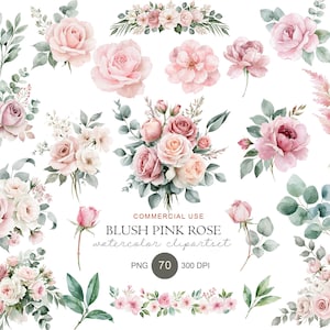 May include: A collection of watercolor illustrations featuring blush pink roses, floral bouquets, individual flower heads, and green eucalyptus leaves. The text reads COMMERCIAL USE BLUSH PINK ROSE watercolor clipartset PNG 70 300 DPI.