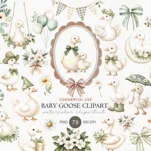 Puede incluir: Conjunto de im&aacute;genes predise&ntilde;adas de acuarela con gansos beb&eacute;s en varias poses, con detalles florales y lazos. Incluye gansos con sombreros, lazos y sosteniendo paraguas. El texto "BABY GOOSE CLIPART" es visible. Formato PNG, 79, 300 DPI.