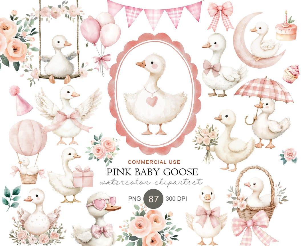 Pink Watercolor Goose Clipart Bundle, Baby Shower Nursery PNG, Floral ...