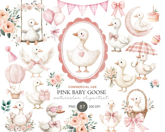 Pink Watercolor Goose Clipart Bundle, Baby Shower Nursery PNG, Floral Spring Party Decor