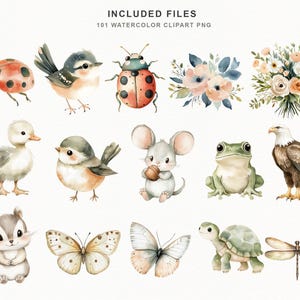 Op de afbeelding: Waterverf clipart set met diverse dieren en bloemelementen. Bevat een lieveheersbeestje, vogels, een eendje, een muis, een kikker, een adelaar, een eekhoorn, vlinders, een schildpad en een libelle. De tekst "INCLUDED FILES 101 WATERCOLOR CLIPART PNG" staat bovenaan.