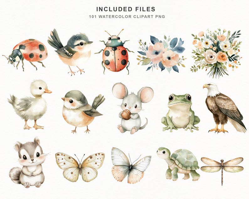 Op de afbeelding: Waterverf clipart set met diverse dieren en bloemelementen. Bevat een lieveheersbeestje, vogels, een eendje, een muis, een kikker, een adelaar, een eekhoorn, vlinders, een schildpad en een libelle. De tekst "INCLUDED FILES 101 WATERCOLOR CLIPART PNG" staat bovenaan.
