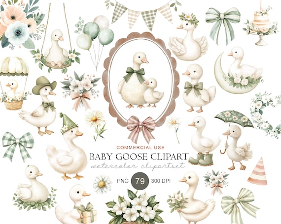 Watercolor Goose Clipart Bundle, Pastel Baby Shower PNG, Floral Nursery Decor (Digital Download)