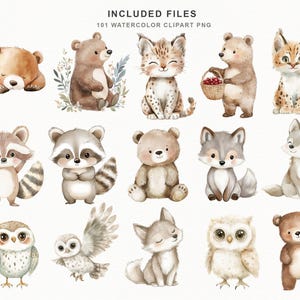 Op de afbeelding: Watercolor clipart set met verschillende bosdieren, waaronder beren, wasberen, vossen, uilen en een bobcat. De illustraties zijn in zachte, gedempte kleuren, met een focus op schattige en vriendelijke dierontwerpen. De tekst "INCLUDED FILES 101 WATERCOLOR CLIPART PNG" staat bovenaan.