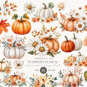 May include: A collection of watercolor illustrations featuring orange and white pumpkins, autumn leaves, and white daisy flowers. The central text reads: COMMERCIAL USE PUMPKIN FLORAL watercolor clipartset PNG 52 300 DPI. These seasonal graphics include various floral arrangements.