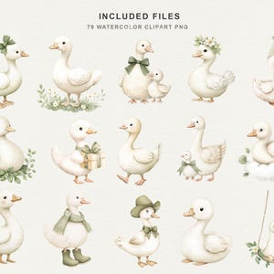 Puede incluir: Conjunto de im&aacute;genes predise&ntilde;adas de acuarela con varios patos blancos con encantadores accesorios. Los patos est&aacute;n adornados con lazos, sombreros y detalles florales. El texto "INCLUDED FILES" y "79 WATERCOLOR CLIPART PNG" es visible.