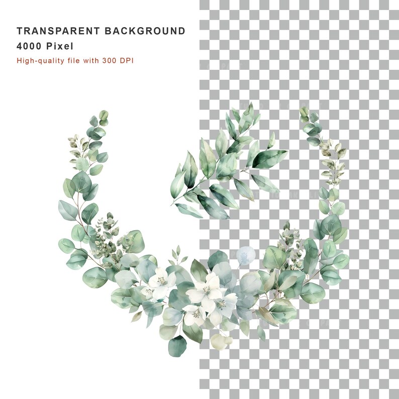 Watercolor Eucalyptus Clipart Bundle, Greenery Wreaths, Frames (PNG ...