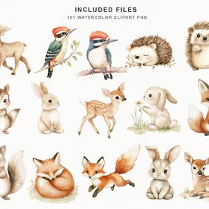 Op de afbeelding: Watercolor clipart set met verschillende bosdieren, waaronder een hert, spechten, een egel, een eekhoorn, een konijn, een hertje en een vos. De afbeelding bevat de tekst "INCLUDED FILES 101 WATERCOLOR CLIPART PNG".