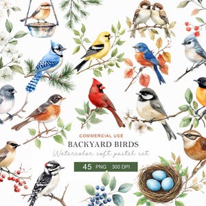Op de afbeelding: Waterverfillustratie van diverse vogels uit de achtertuin, waaronder een blauwe gaai, een kardinaal en een putter, zittend op takken met bladeren en bessen. De afbeelding bevat een vogelvoeder en een nest met blauwe eieren. Tekst: "Backyard Birds" en "Watercolor soft pastel set."