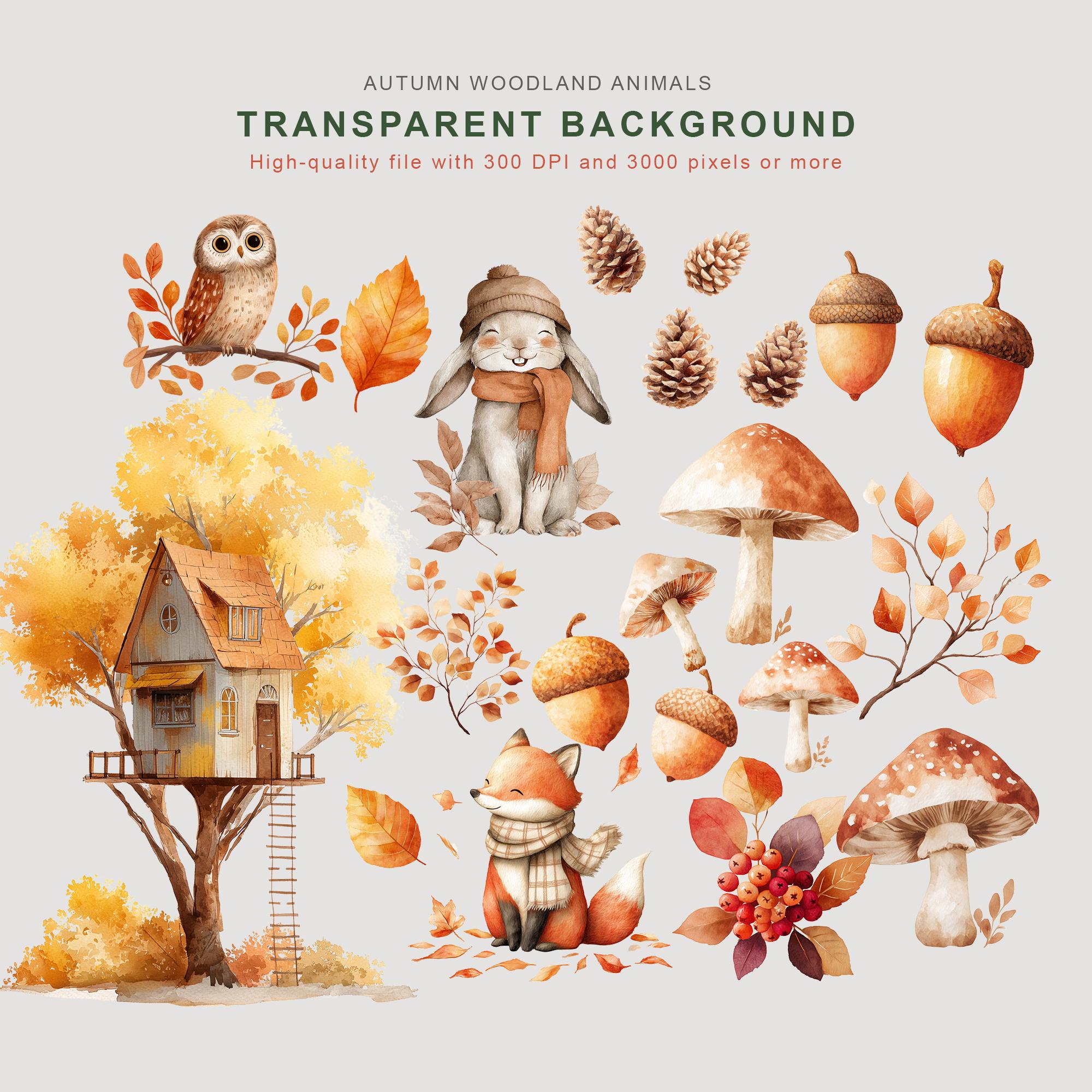 Watercolor Autumn Animals Clipart | Fall Woodland PNG Set (32 PNG) - Etsy