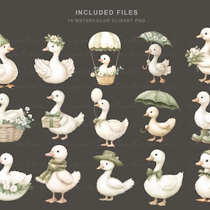 Puede incluir: Conjunto de im&aacute;genes predise&ntilde;adas de acuarela con varias ilustraciones de patos blancos. Los patos se representan con accesorios como sombreros, paraguas y arreglos florales. El texto "INCLUDED FILES 79 WATERCOLOR CLIPART PNG" est&aacute; en la parte superior.