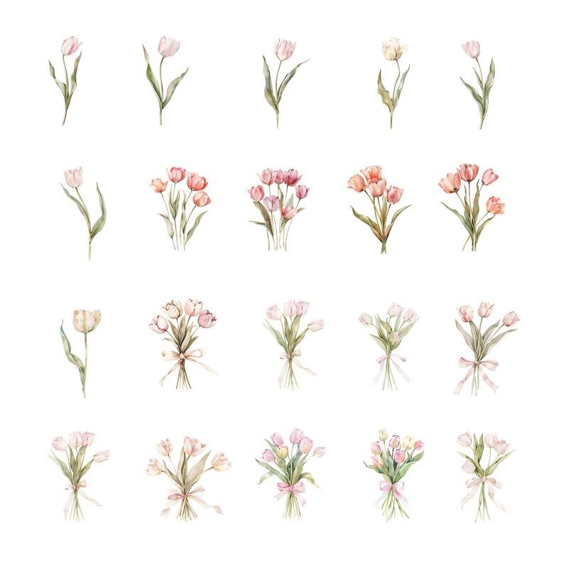 Watercolor Tulip Clipart Set | Spring Floral PNG - Etsy