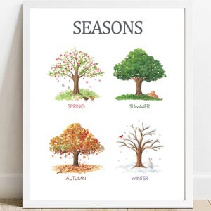 以下が含まれることがあります： SEASONSというタイトルの額入りウォールアートプリント。四季の変化を表す4本の水彩画の木が描かれています。左上はピンクの花が咲く春の木、右上は緑の夏の木、左下はオレンジ色の秋の木、右下は雪が積もった冬の裸木です。