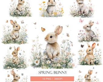 10 Watercolor Bunny Clipart, Baby Rabbit ,Spring Easter Animal PNG, Digital Watercolor Art