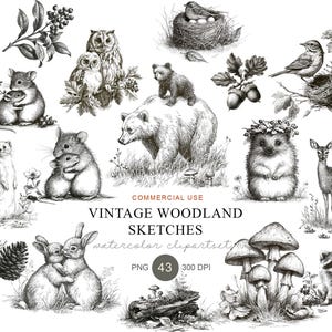 Könnte beinhalten: Eine Sammlung von schwarz-weißen Waldtier-Skizzen, darunter Eulen, Mäuse, ein Bär mit Jungtier, ein Igel, ein Reh mit Kitz, Kaninchen und ein Waschbär. Text: COMMERCIAL USE VINTAGE WOODLAND SKETCHES watercolor clipartset PNG 43 300 DPI.