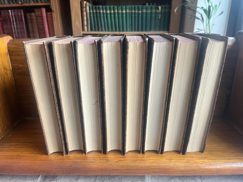 May include: A row of hardcover books with cream-colored pages and brown spines. The books are arranged on a wooden shelf, with a blurred background of other books and a plant. The books are of similar size and appear to be part of a collection.