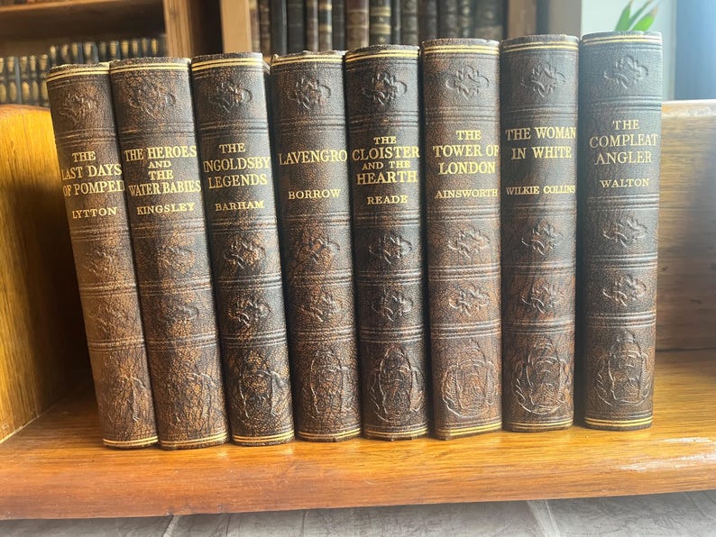 May include: A collection of antique books with brown leather covers and gold lettering. Titles include "The Last Days of Pompeii," "The Heroes and Water Babies," and "The Compleat Angler." The books are arranged on a wooden shelf.