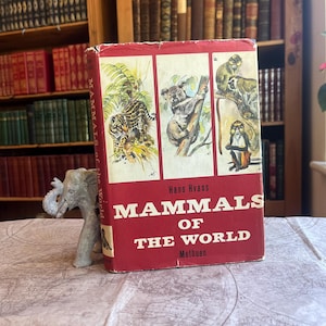 Pode incluir: Um livro vintage intitulado "Mamíferos do Mundo" de Hans Hvass. A capa é vermelha com ilustrações de um tigre, um coala e macacos. O livro é apoiado por uma pequena estatueta de elefante cinzento, com estantes de livros ao fundo.