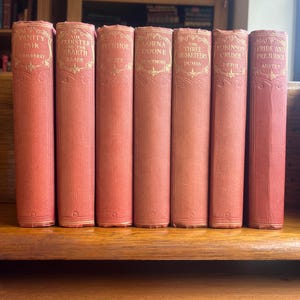 May include: A row of seven vintage books with red covers. Titles visible are "Vanity Fair," "The Cloister and the Hearth," "Ivanhoe," "Lorna Doone," "The Three Musketeers," "Robinson Crusoe," and "Pride and Prejudice."