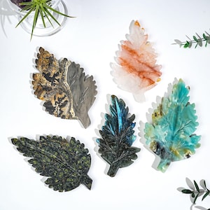 Può includere: Cinque sculture di foglie in pietra scolpita in vari colori e motivi. Le foglie sono in tonalità di verde, marrone, grigio e bianco, con intricati dettagli di venature. Le foglie sono disposte su una superficie bianca, con una piccola pianta in un vaso di vetro sullo sfondo.