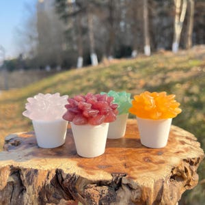 Puede incluir: Cuatro pequeñas esculturas de suculentas coloridas en macetas blancas. Las suculentas son rosas, rojas, verdes y naranjas. Las esculturas se exhiben sobre una superficie de madera con un fondo borroso de árboles.