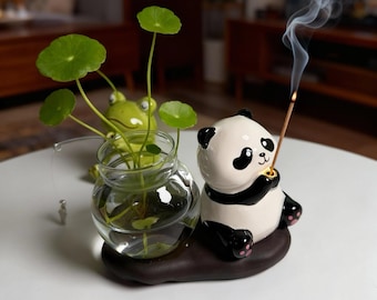 Ceramic Panda & Frog Planter Set with Glass Vase — Special Desktop Pilea, Animal Pottery Gift